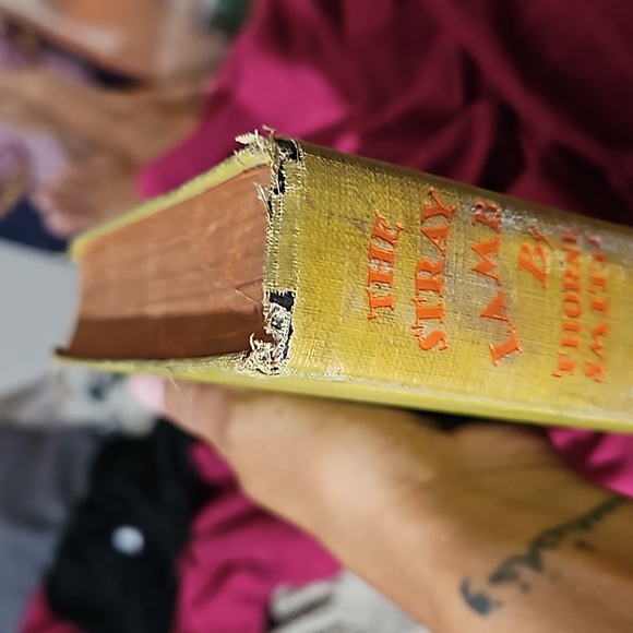 1929 1st printing The stray Lamb by Thorne Smith Antique - Picture 5 of 6